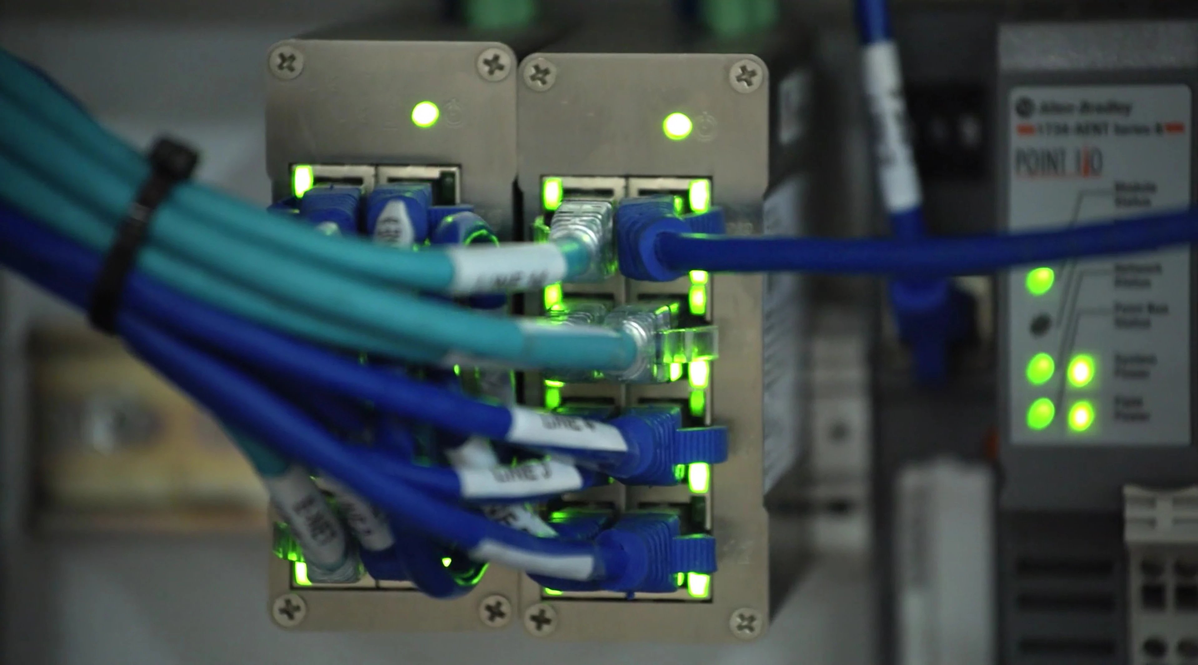 Ethernet cables plugged into industrial network switches.